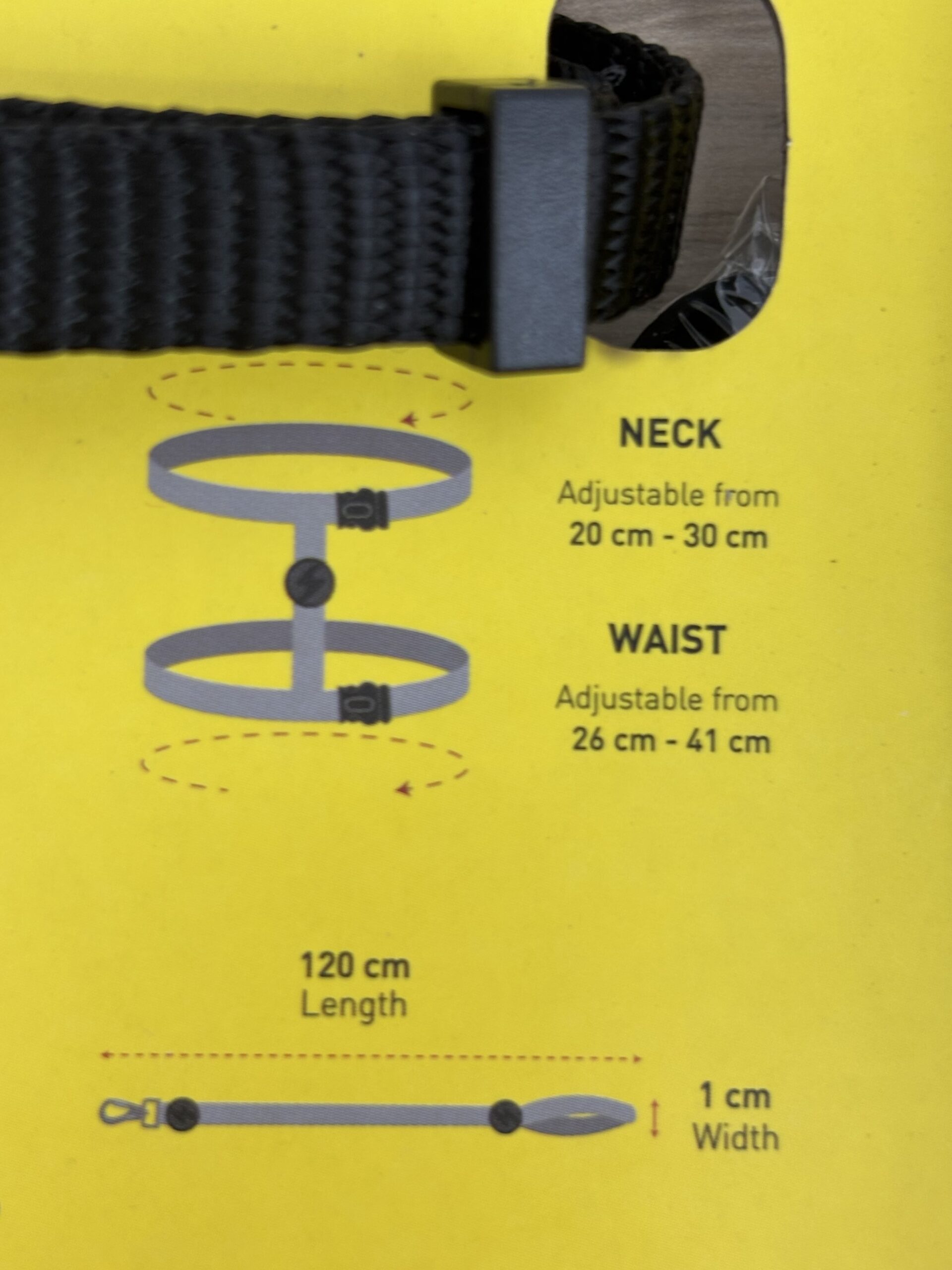 Dashi Solid – Koci Zestaw na Spacer - obrazek 2